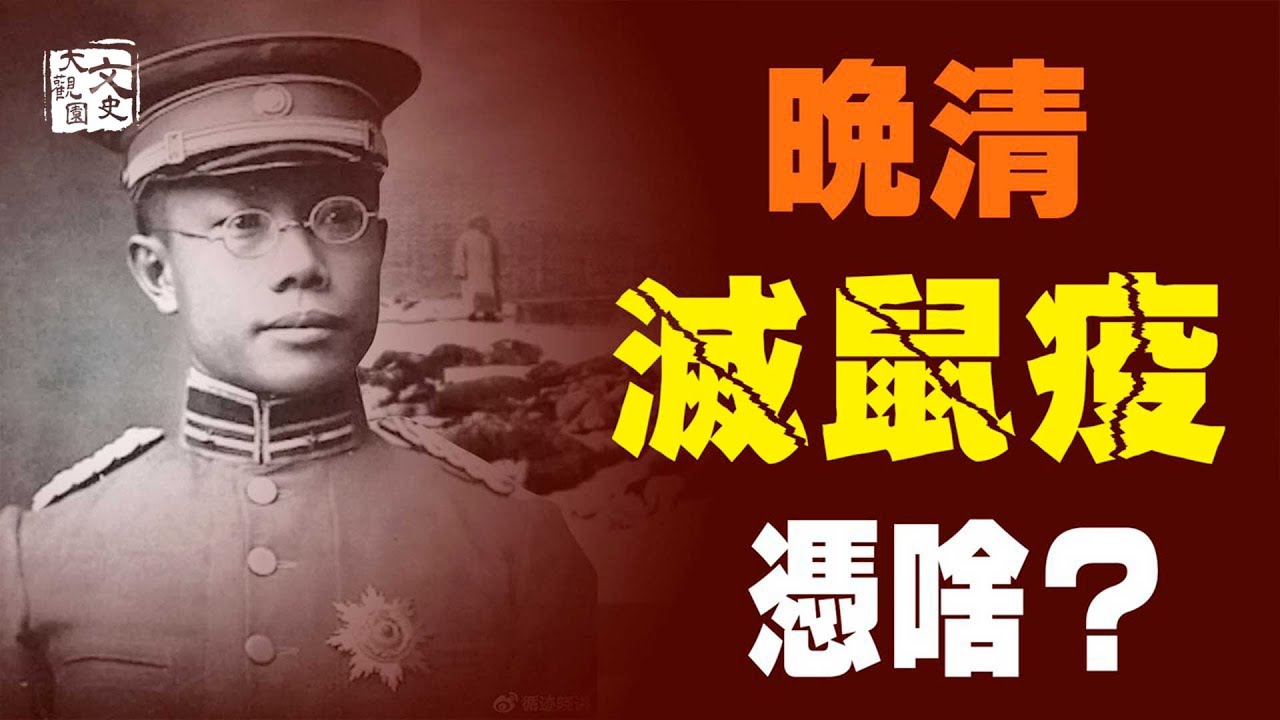 清末一場東北大鼠疫比戰爭還可怕，卻被搖搖欲墜的晚清政府用4個月平定，只因做對了一件事......｜歷史故事｜文史大觀園
