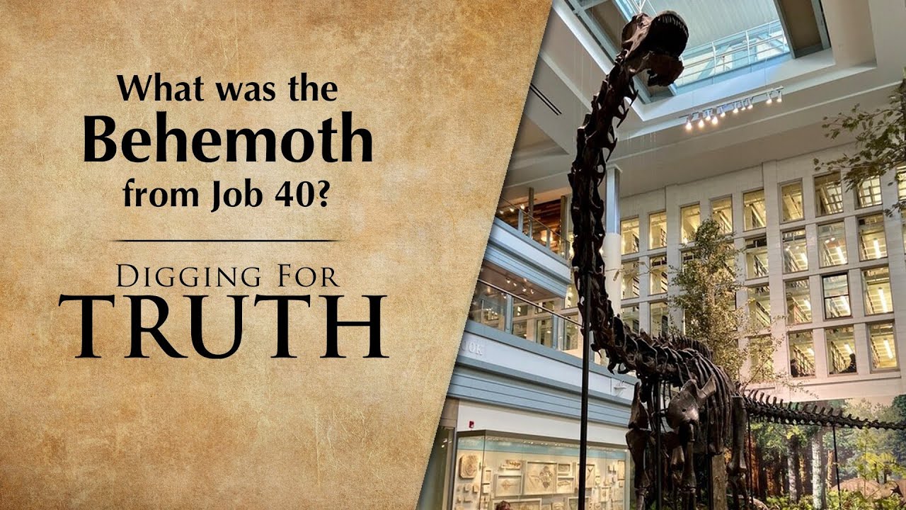 What was the Behemoth from Job 40? | Digging for Truth Episode 237