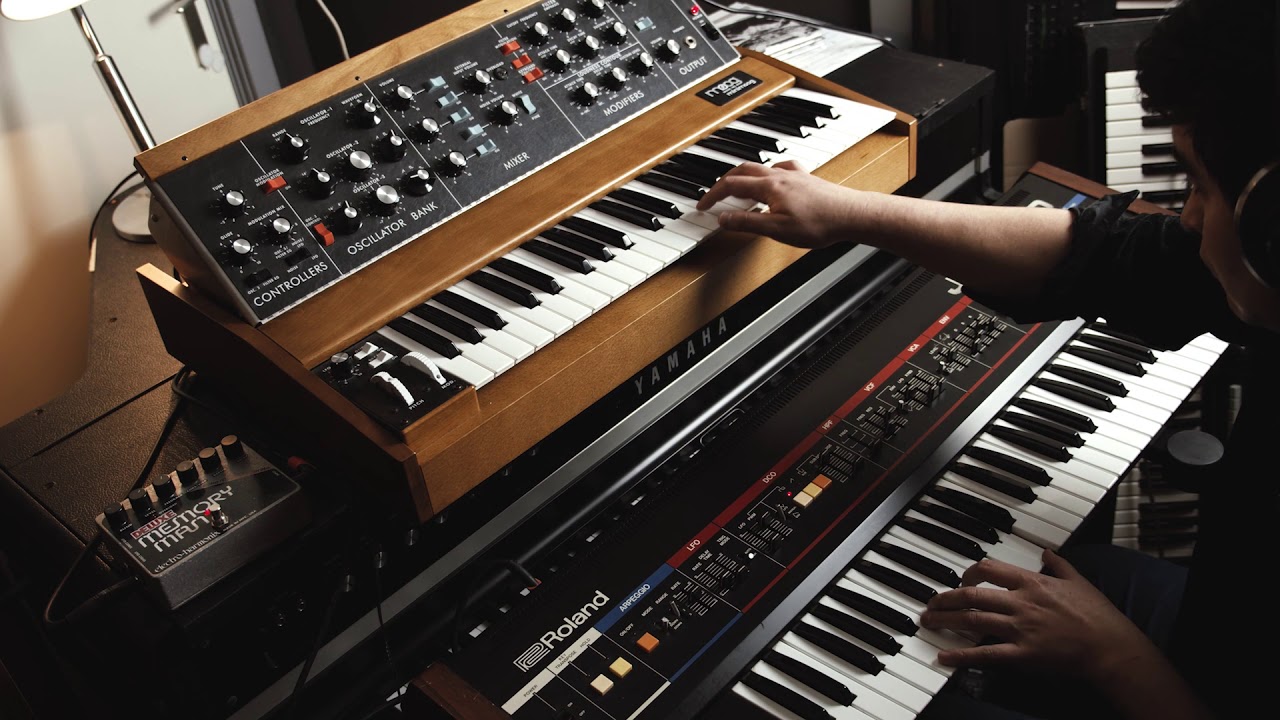 Minimoog Model D + Juno 60 synth jam