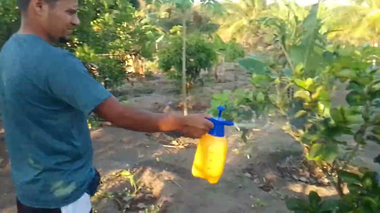 MARCOS PRETO