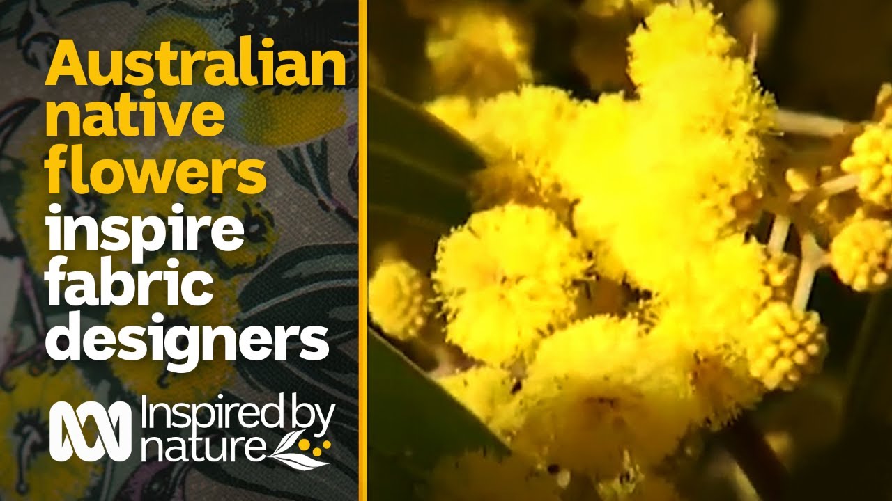Australian natives inspire textile designs | Inspired by Nature | ABC Australia