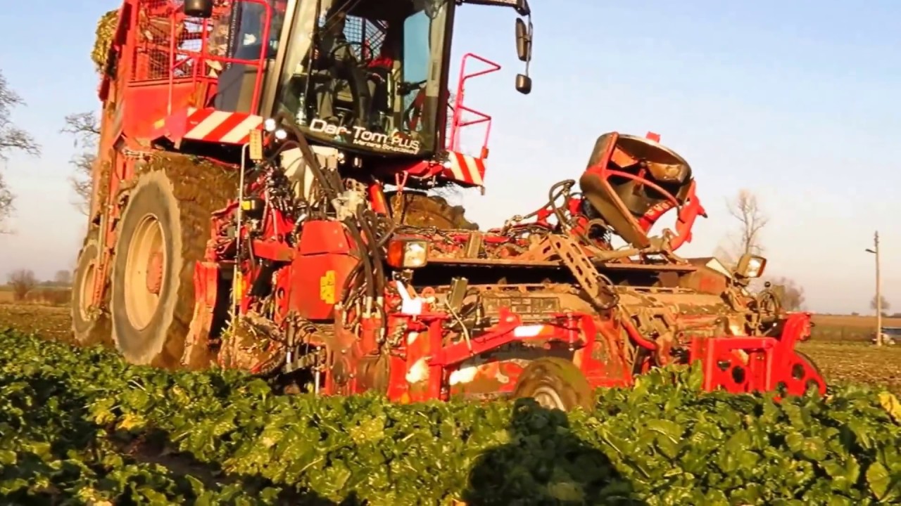 Kampania Buraczana 2016 DOBRZELIN   HOLMER T4  ROPA