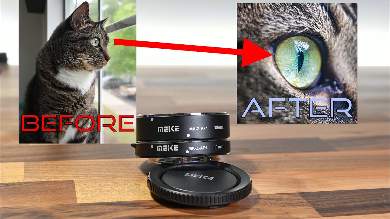 5 советов по макросъёмке Nikon | Обзор макроколец Meike для Nikon Z