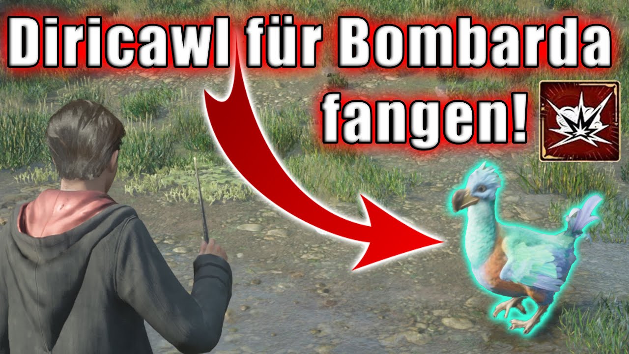 Diricawl Location f&uuml;r die Bombarda Quest! Hogwarts Legacy