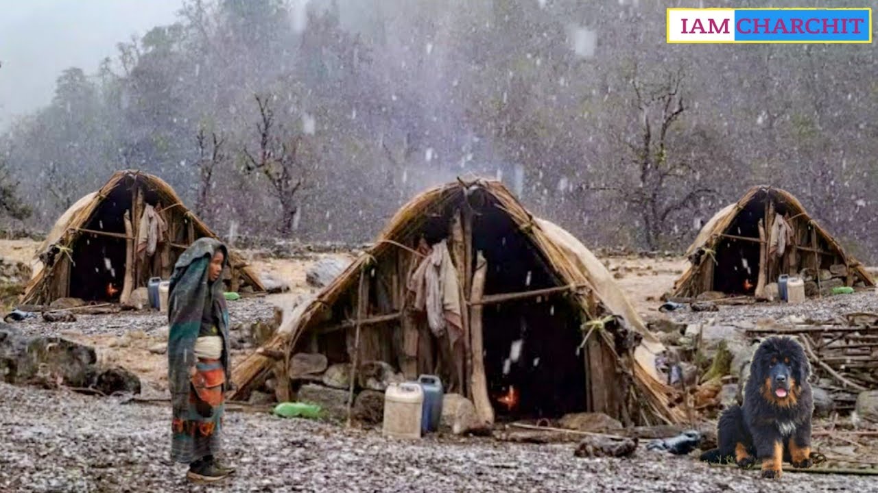 Himalayan Extreme Nomadic Life: Cooking&Surviving in Heavy Snow Mountains|African Village lifestyle|