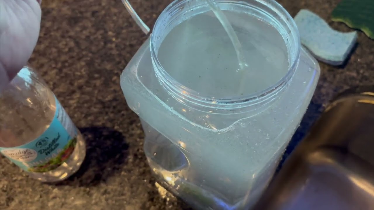 Why does phytoplankton crash