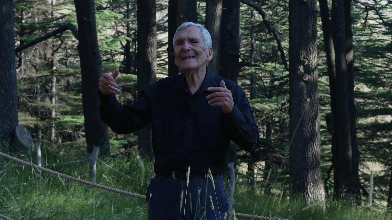 Ceders of Lebanon - Dr. Francois du Plessis