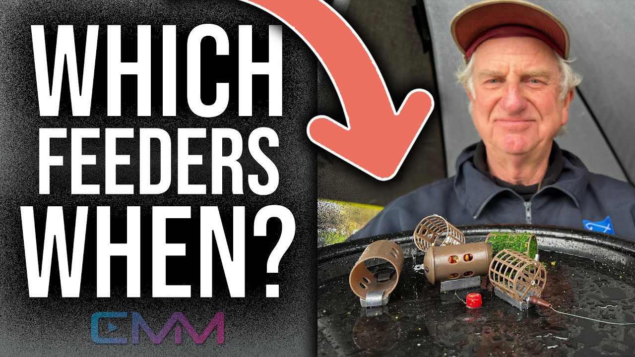 Which Feeder When?