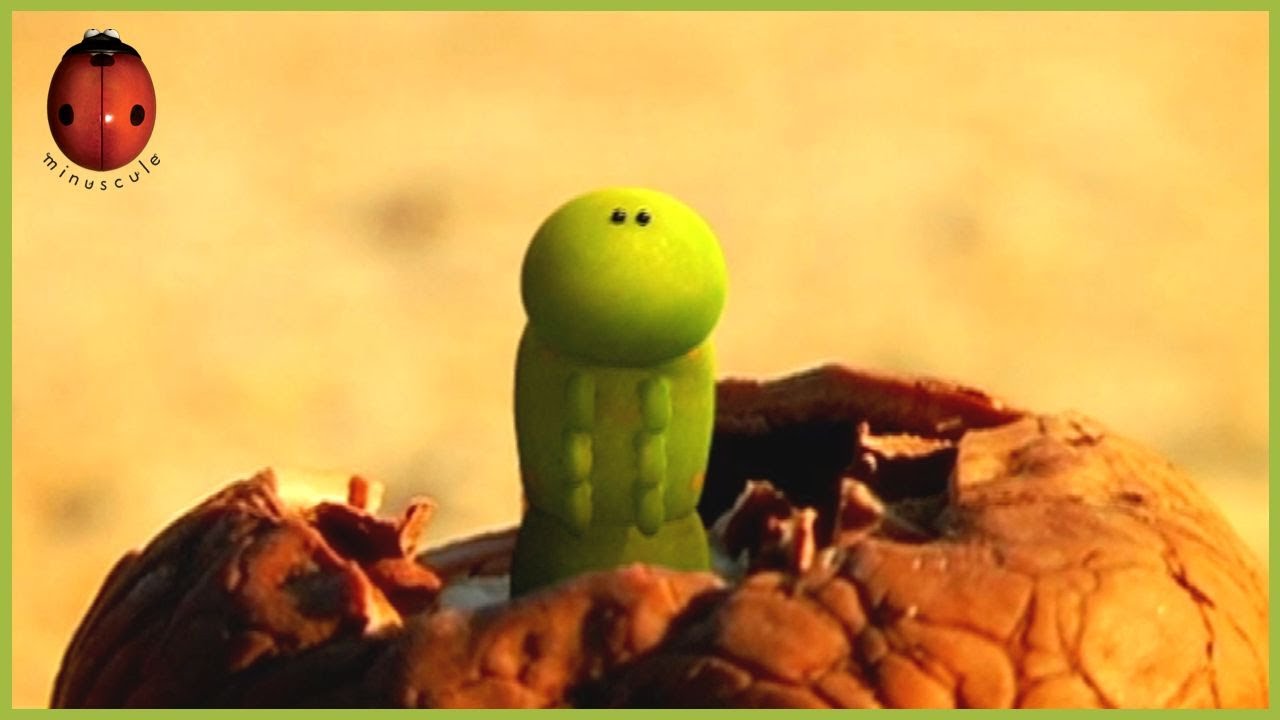 The Shellproof Nut | Minuscule 🍃 45' Compilation