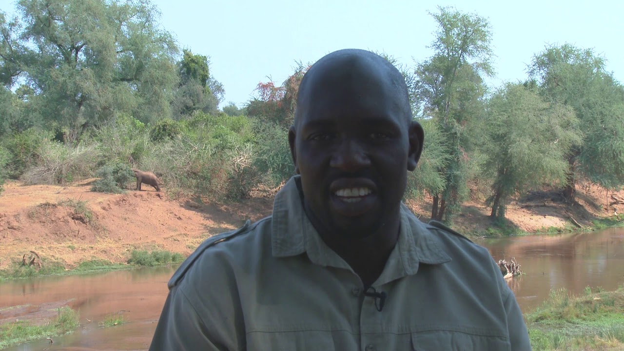 Return Africa - Pafuri Camp