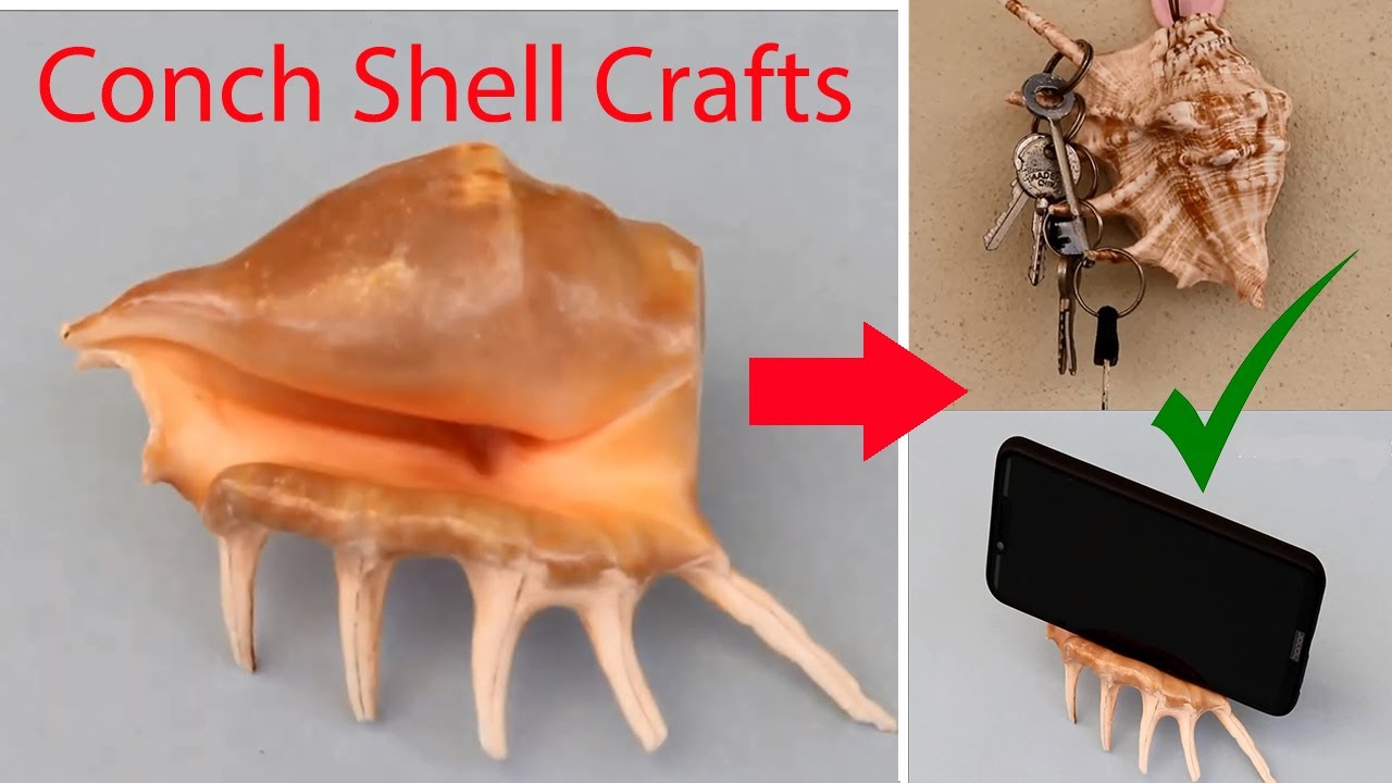 Seashell Craft Ideas Home