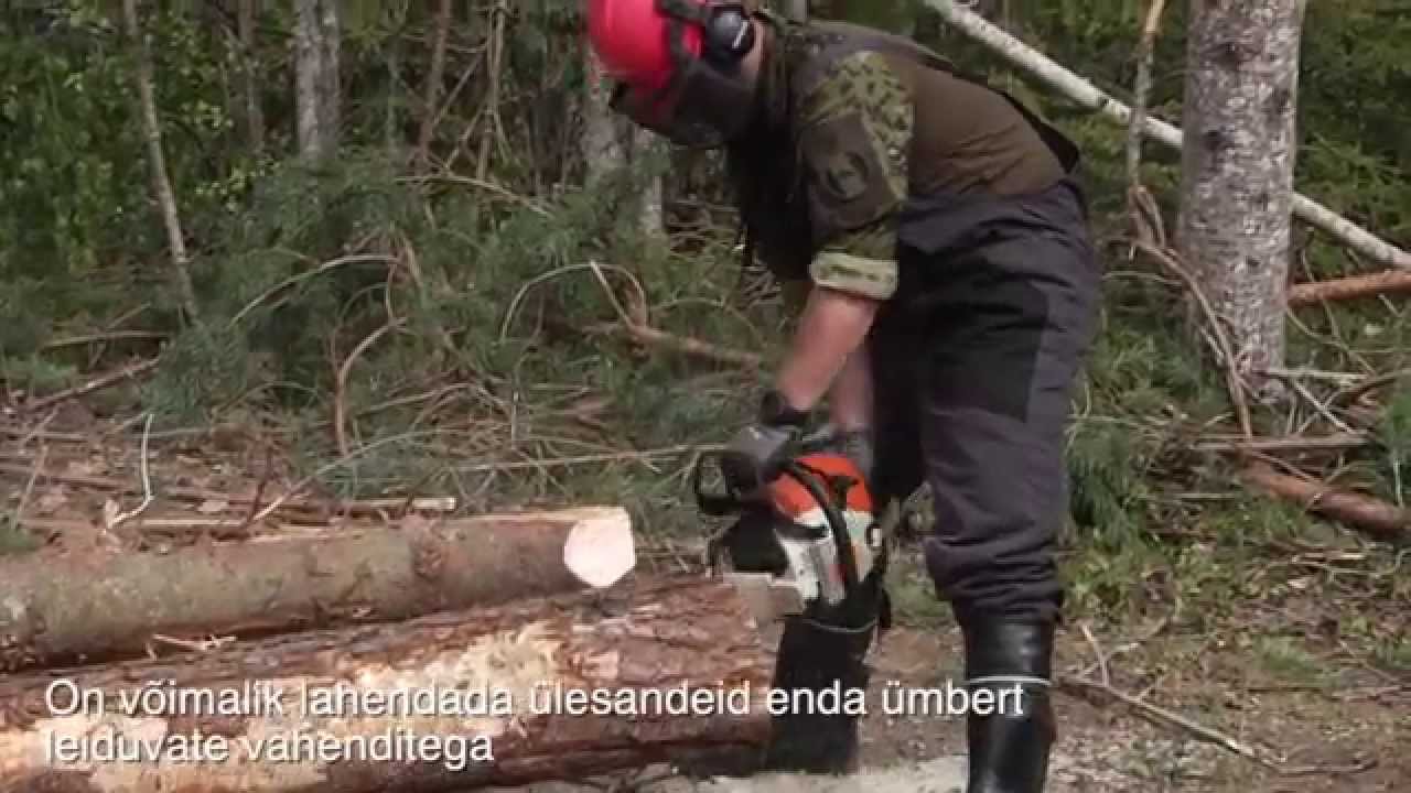 Taani lahingpioneerid: saame eestlastelt palju õppida