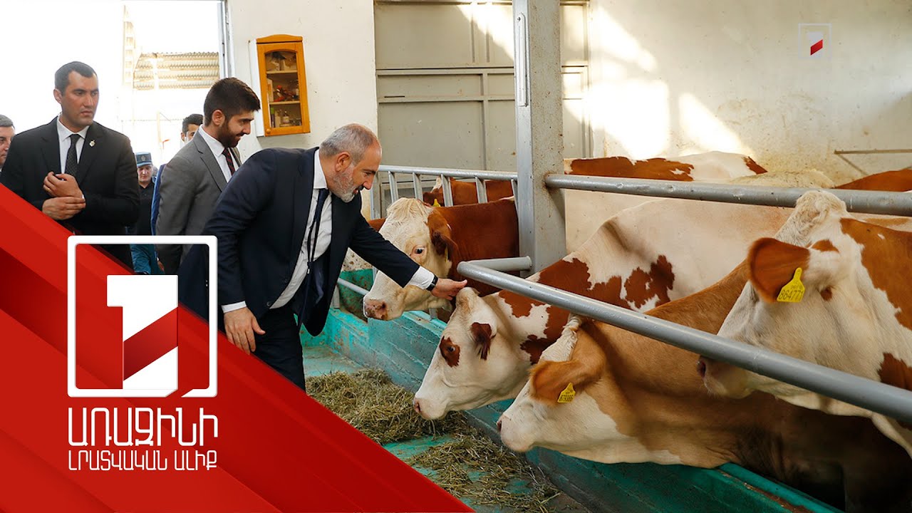 Փաշինյանն այցելել է պետական աջակցությամբ Մասիսում հիմնված խելացի անասնագոմ