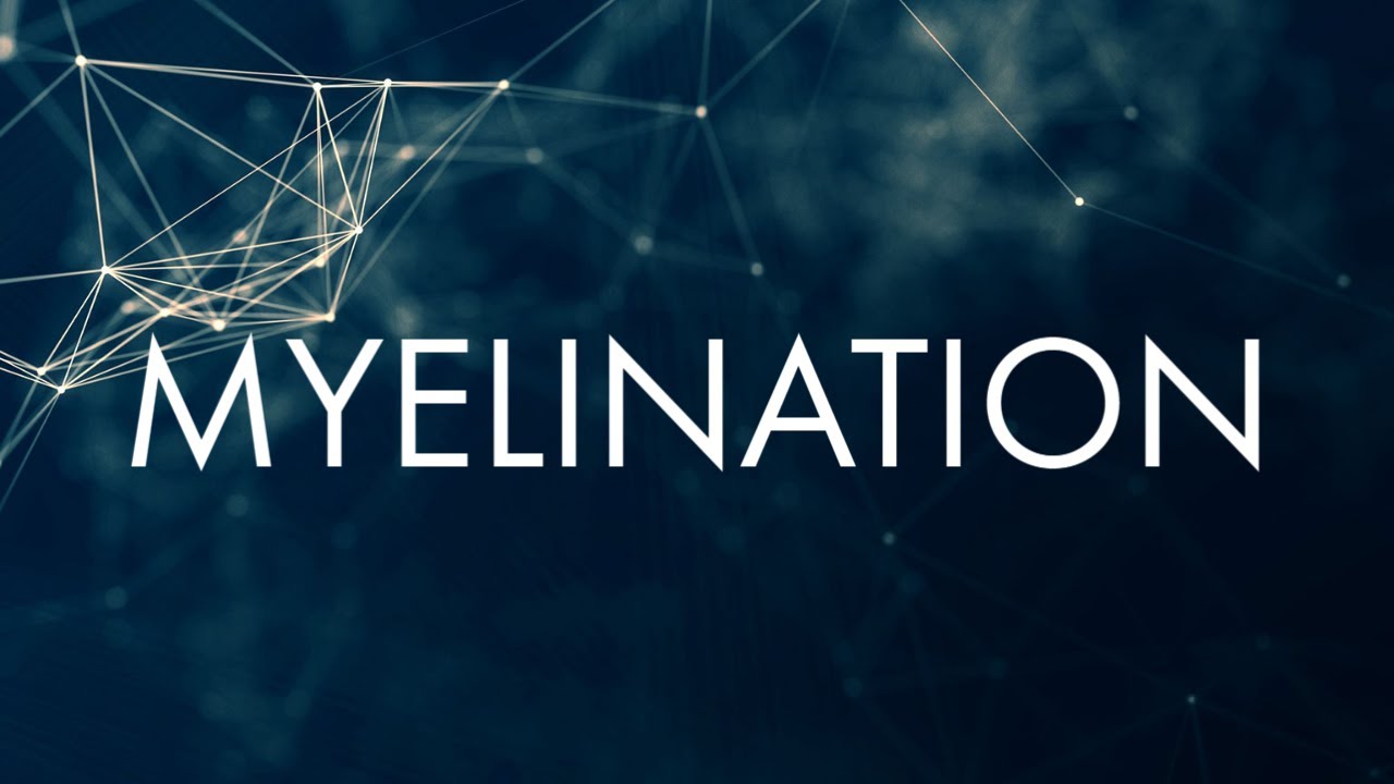 Myelination - Science Applied to League of Legends Ep. 4