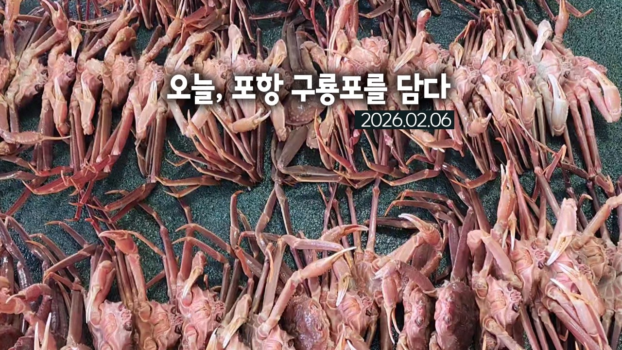 오늘, 포항 구룡포를 담다 2026.02.06