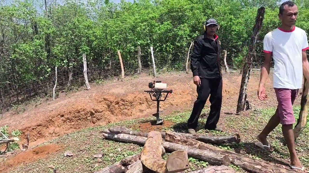 Crescendo a roça de capim 