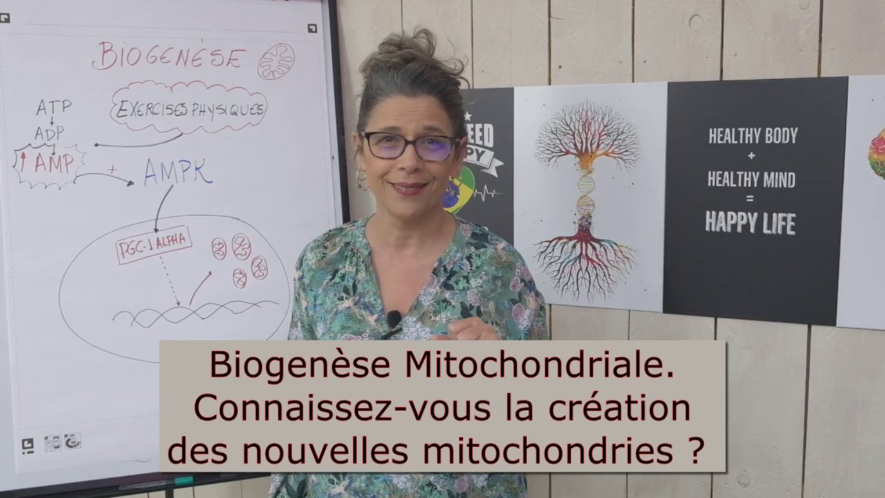 Biogenèse Mitochondriale. Connaissez-vous la création des nouvelles mitochondries ?
