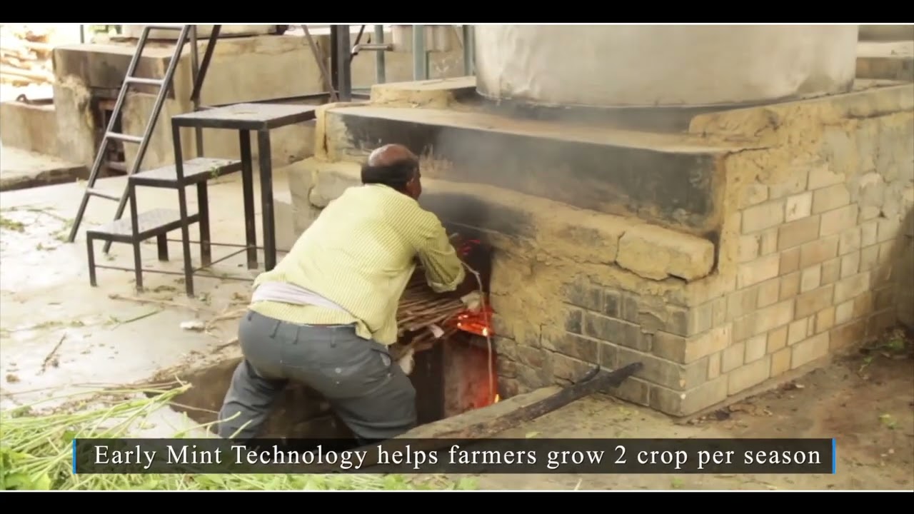 CSIR  CIMAP Glimpses and Success Stories