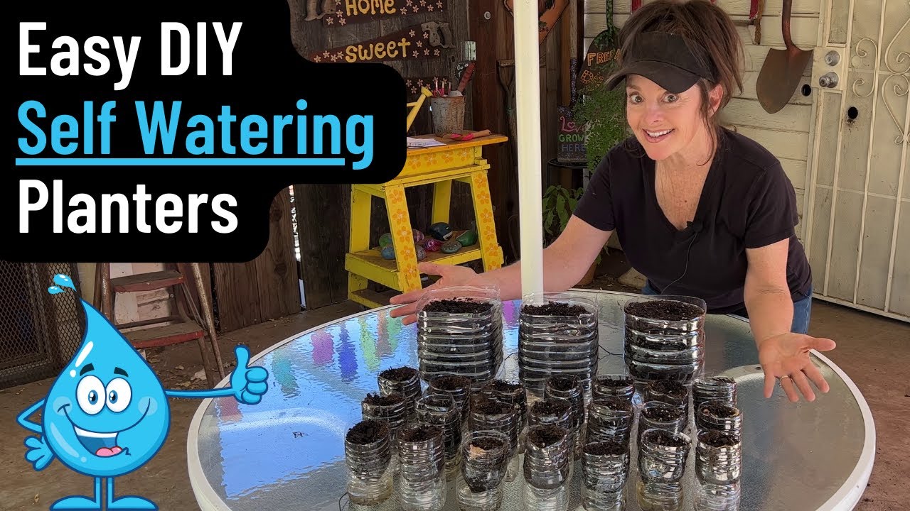 Easy Cheap DIY Seed Starting System Using Water Bottles