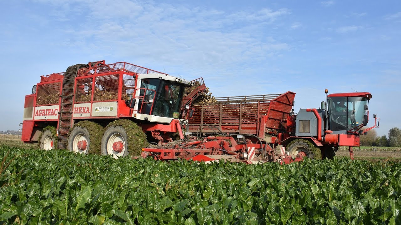 Agrifac Hexa - Loonbedrijf Paridaen - bieten rooien