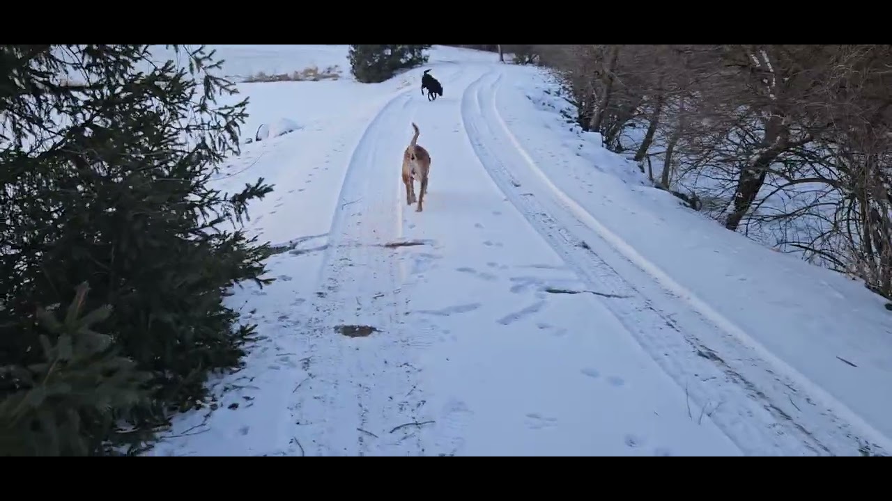 Last below zero morning of week long very cold spell