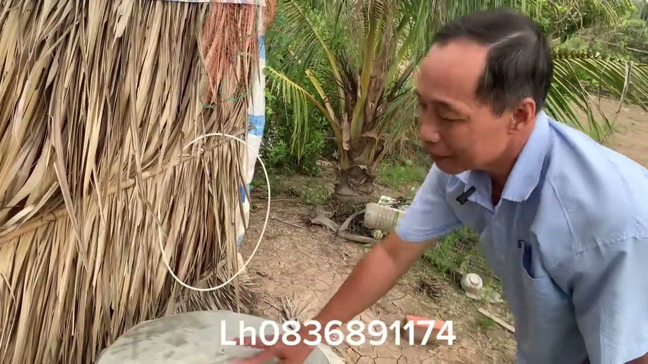Chia sẻ cách ủ vi sinh cơm mẻ đơn giản hiệu quả tiết kiệm chi phí