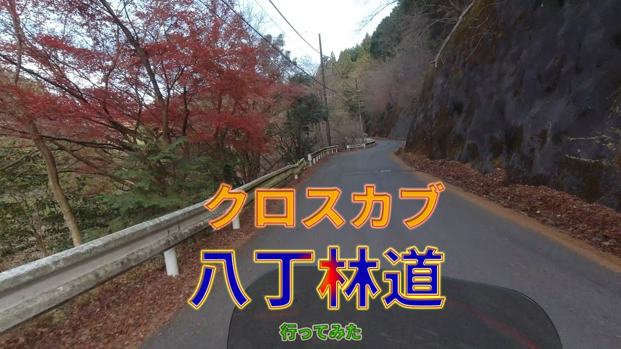 クロスカブ八丁林道行ってみた