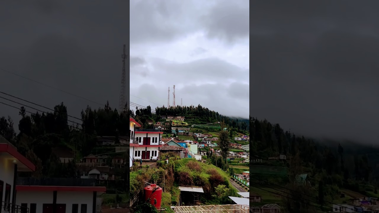 Tosari Pasuruan - Taman Nasional Bromo Tengger Semeru 