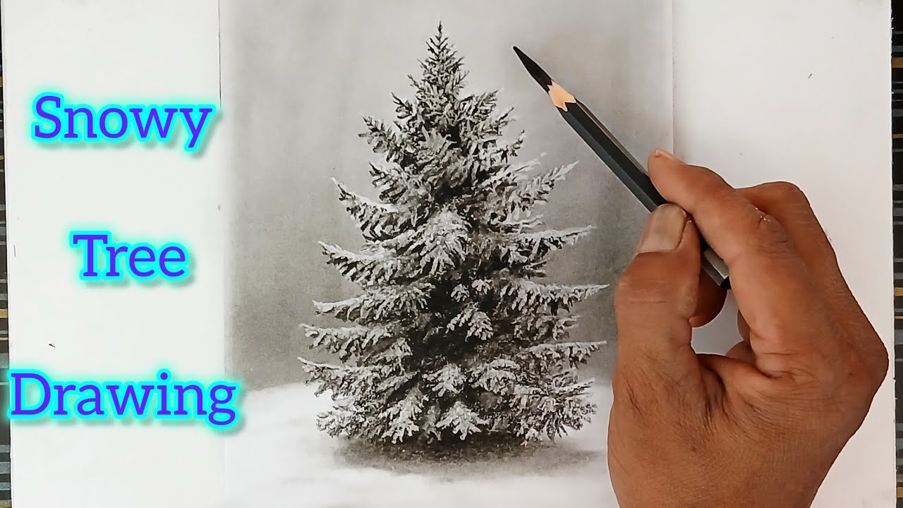 How to draw snowy tree with pencil and eraser step by step. christmas tree.