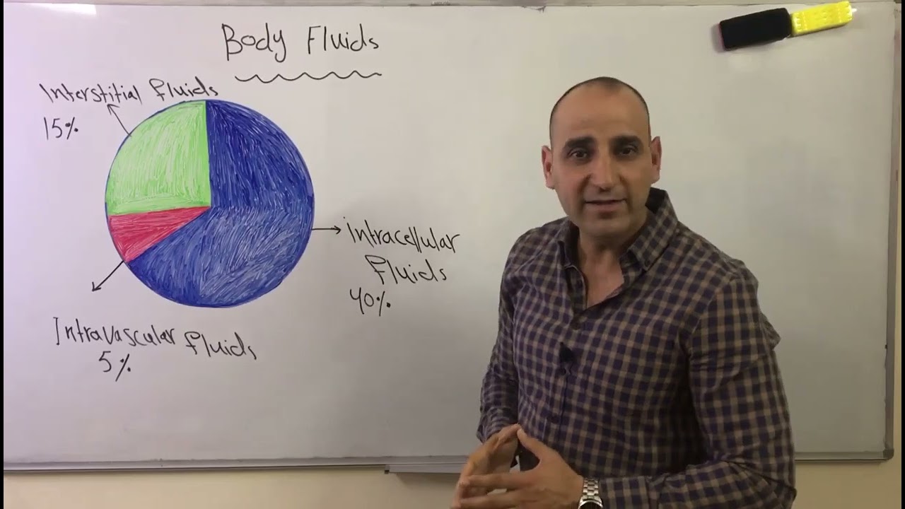 مقدمه تعريفية عن سوائل جسم الانسان Introduction of human body fluids