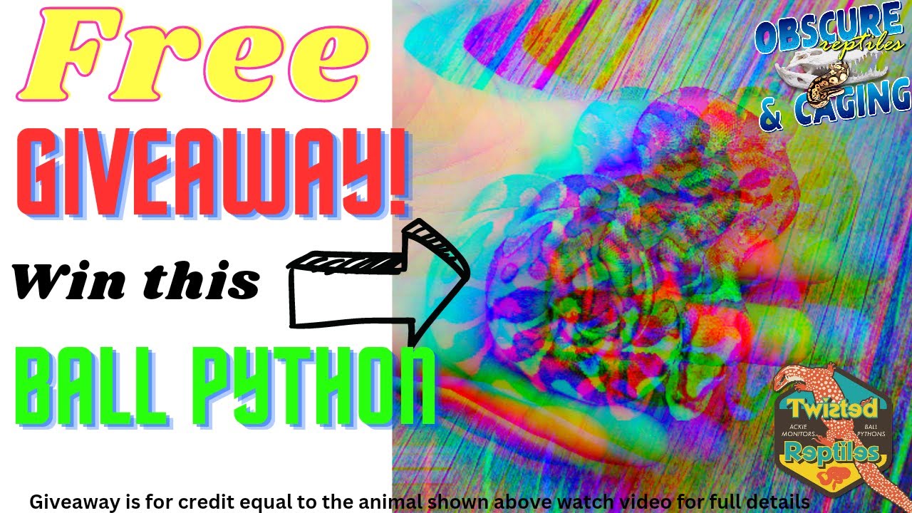 Free Giveaway! Win a FREE Ball Python