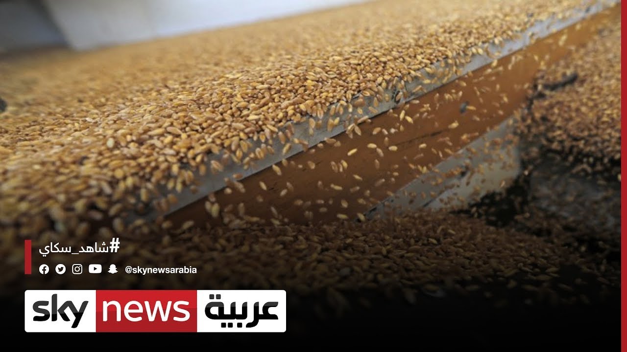 الحكومة الأردنية تؤكد أنها ملتزمة بعدم رفع أسعار الخبز | #مراسلو_سكاي | #سكاي_الأردن
