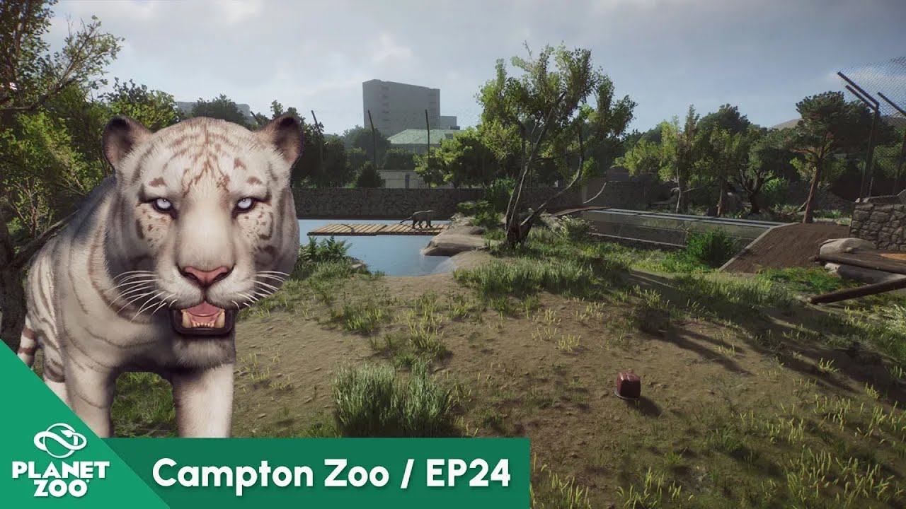 White Siberian Tiger Habitat | Campton Zoo EP24 | Planet Zoo