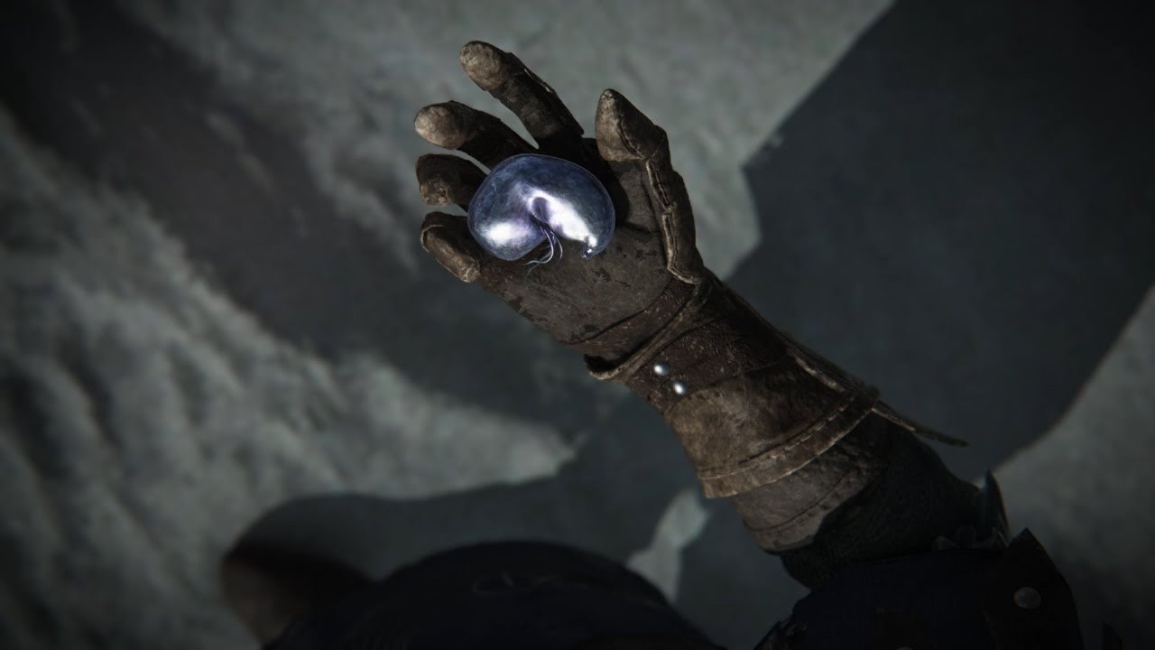 Elden Ring: Nightreign, WYLDER'S SECRET ENDING (FULL CUTSCENE)