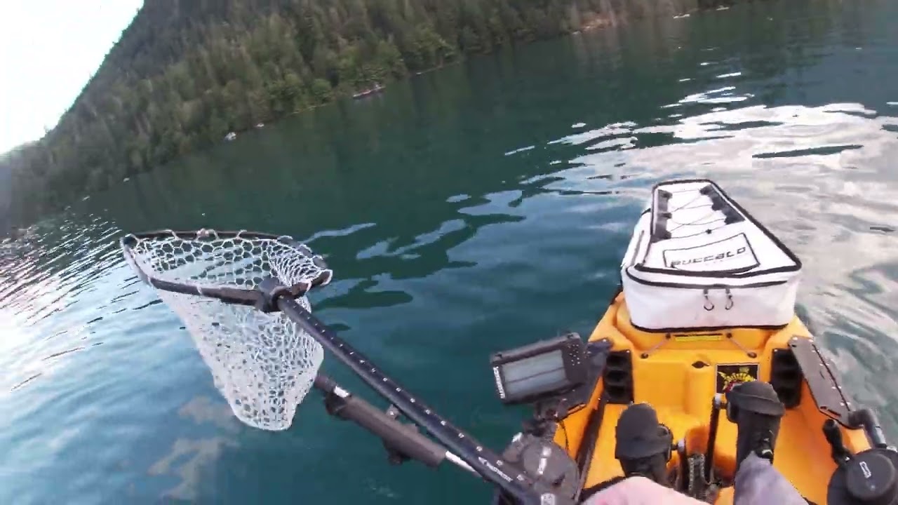 Baker Lake Sockeye 2025
