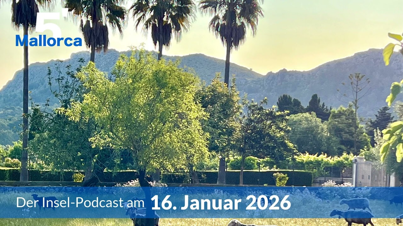 Nachrichten am 16. Januar 2026 | 5 Minuten Mallorca &ndash; der Insel-Podcast 1457