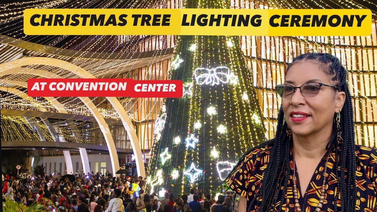 Africa's MOST MAGICAL Christmas Tree Lighting Ceremony EVER!