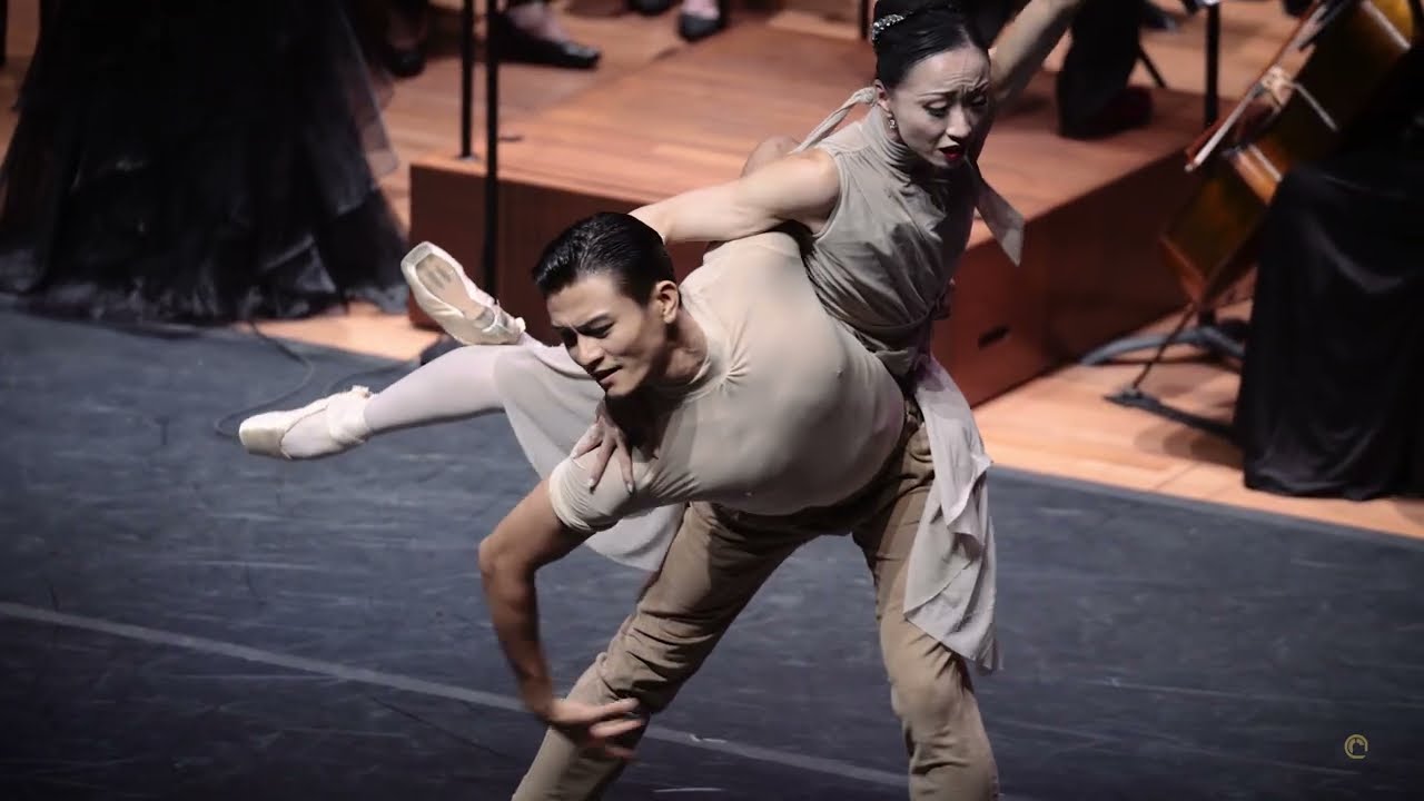 The Butterfly Lovers PDD 梁祝选曲《化蝶》双人舞