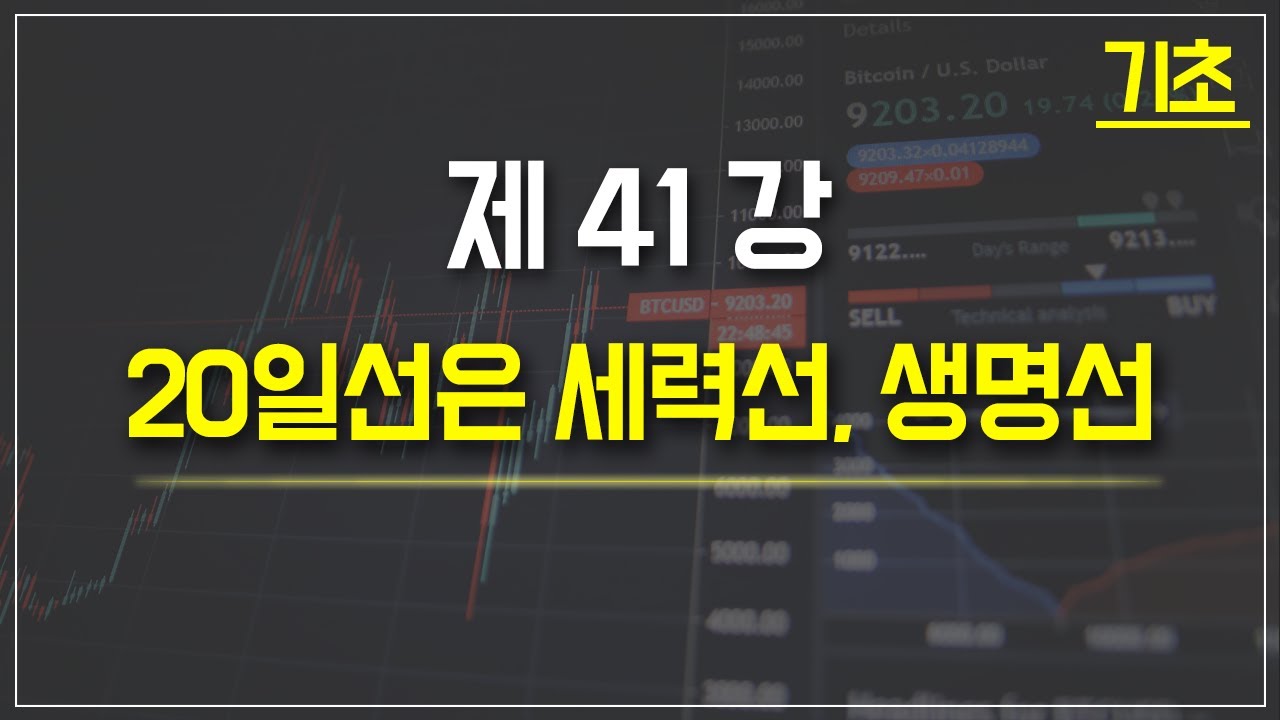 기초 강의 41강 - 20일선은 세력선, 생명선