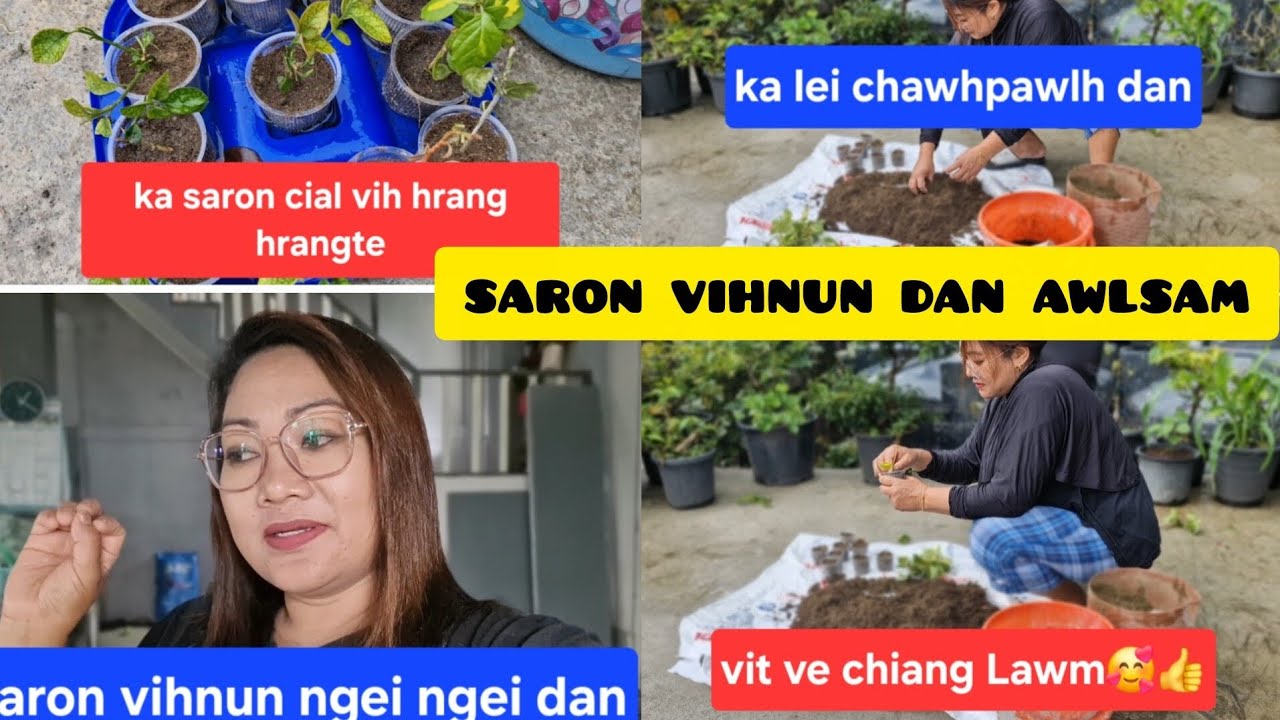 Saron vihnun ngei ngei dan awlsam,zir ho leh ang u aw..🥰🥰🎉🎉