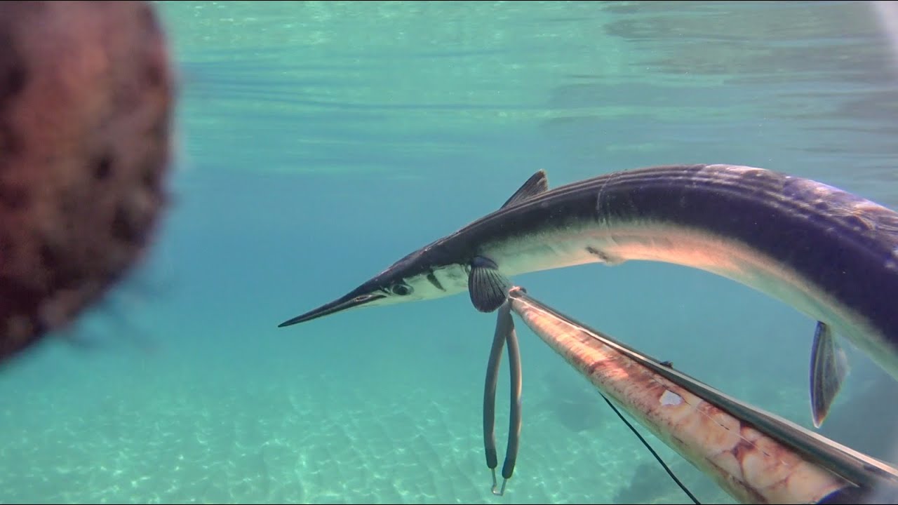 Pesca sub: Non c'è due senza tre..