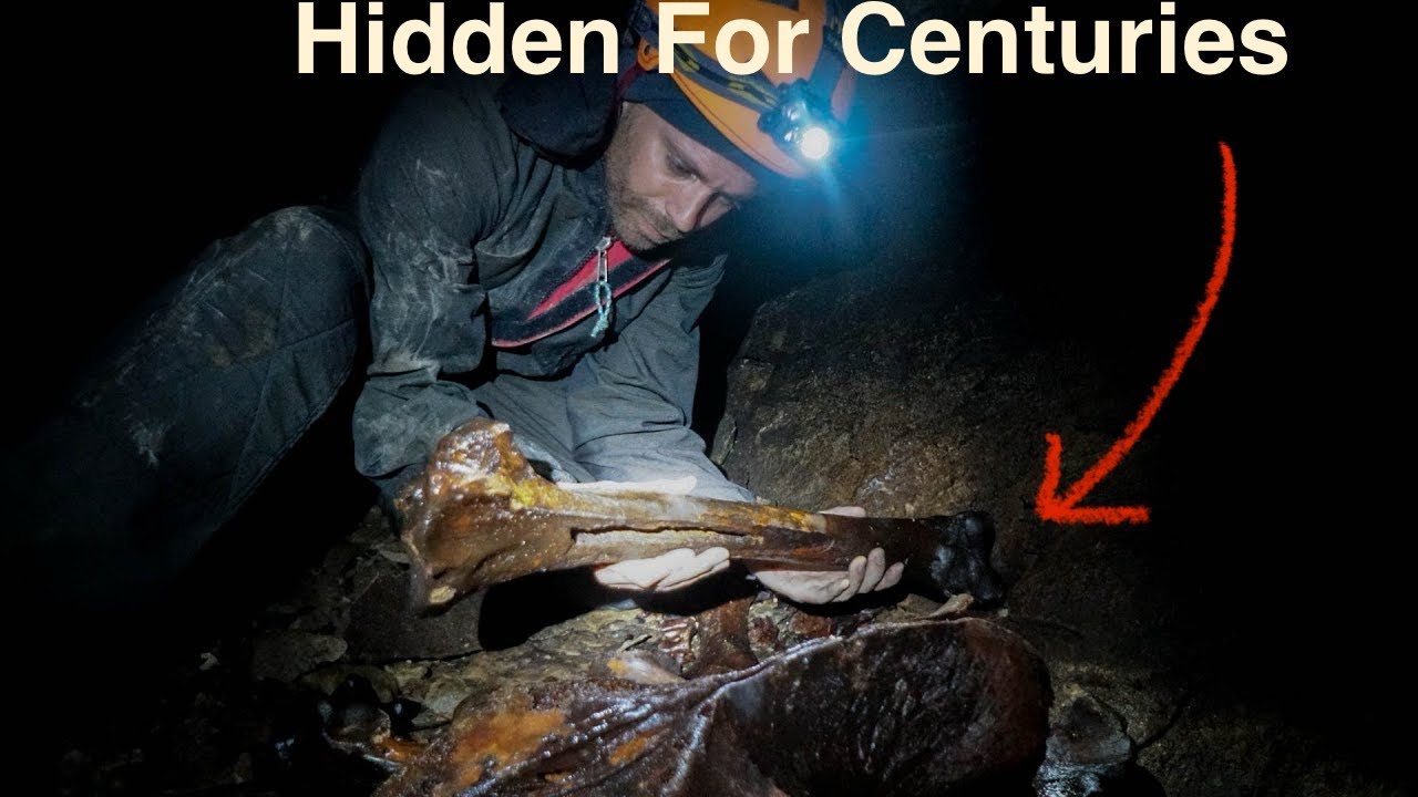 I Found Bones In This Cave In The Forest