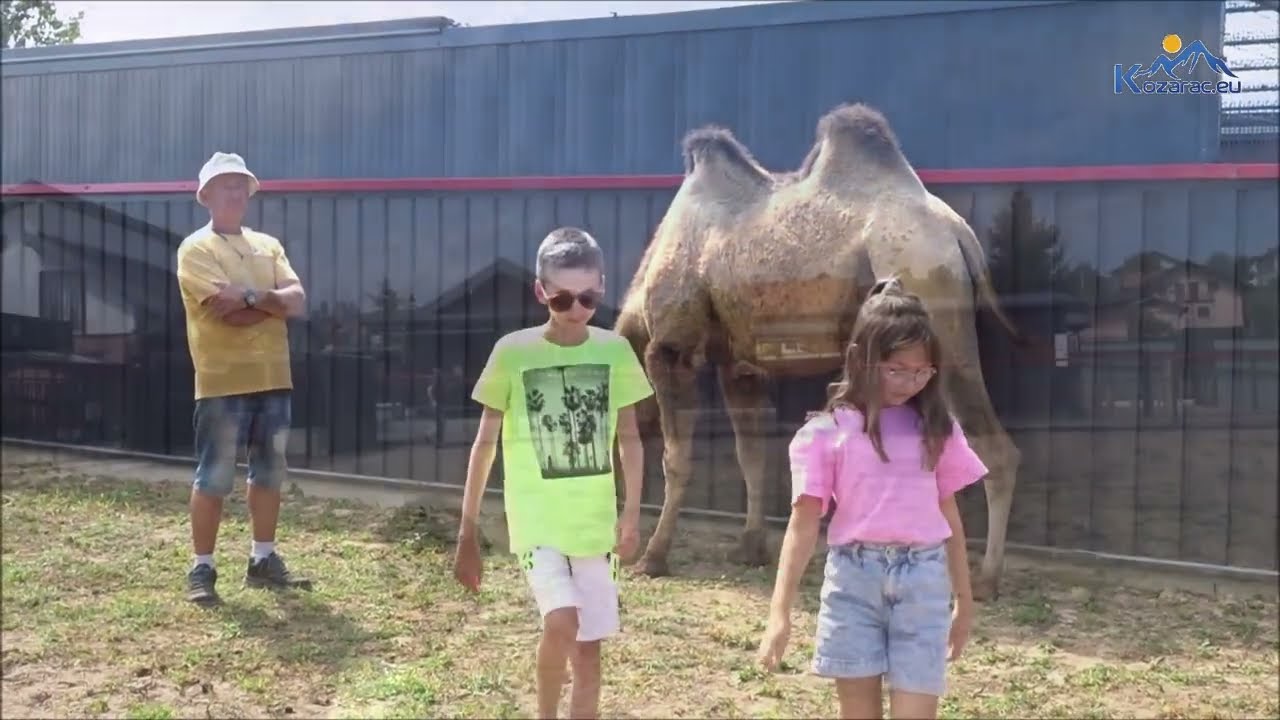 Ranč Aris Prijedor-Kozaruša, sve je kao u zoološkom vrtu pa i bolje