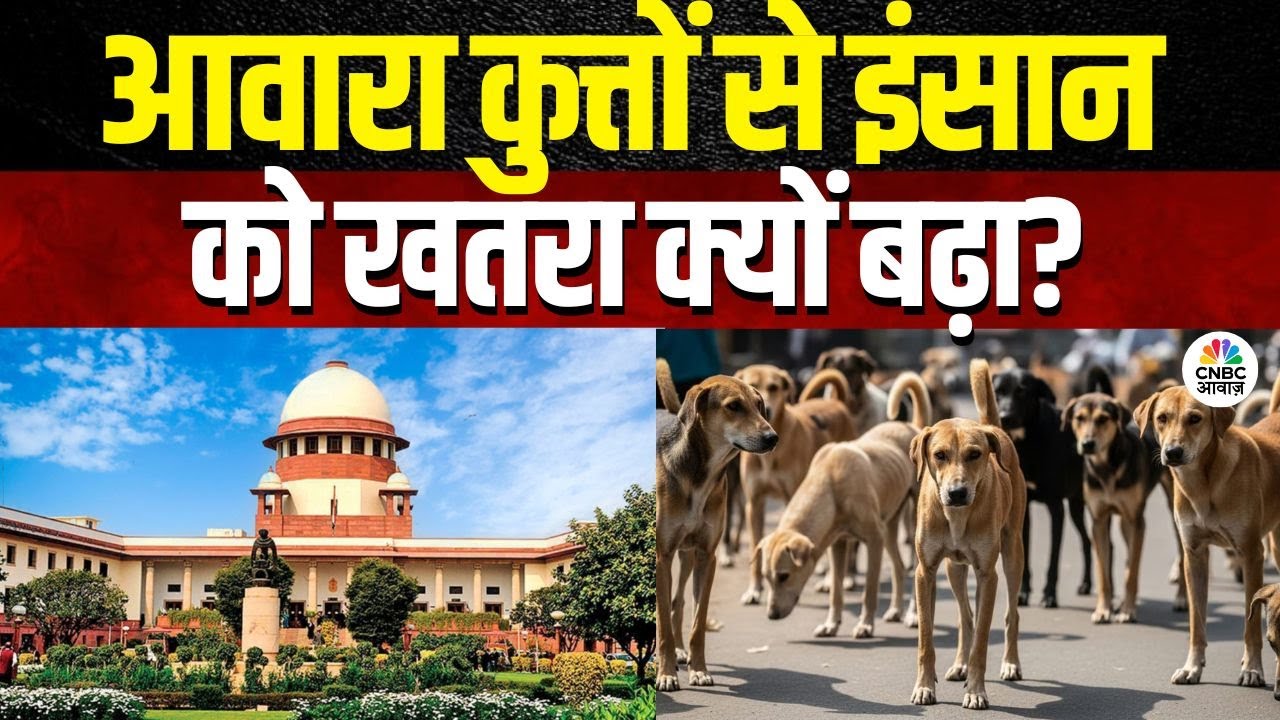 Supreme Court Order On Stray Dogs | आवारा कुत्तों से इंसान को खतरा क्यों बढ़ा? | Consumer Adda