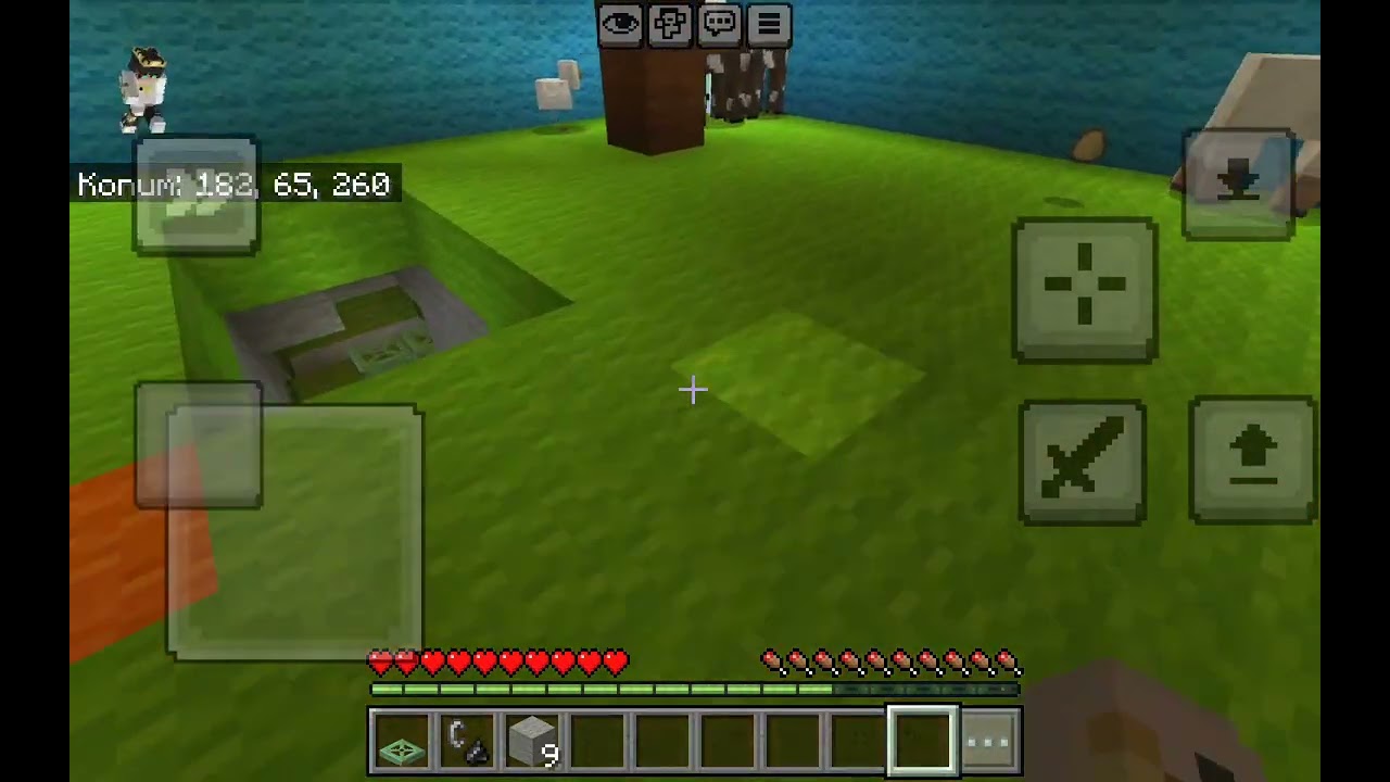 Minecraft speedrun