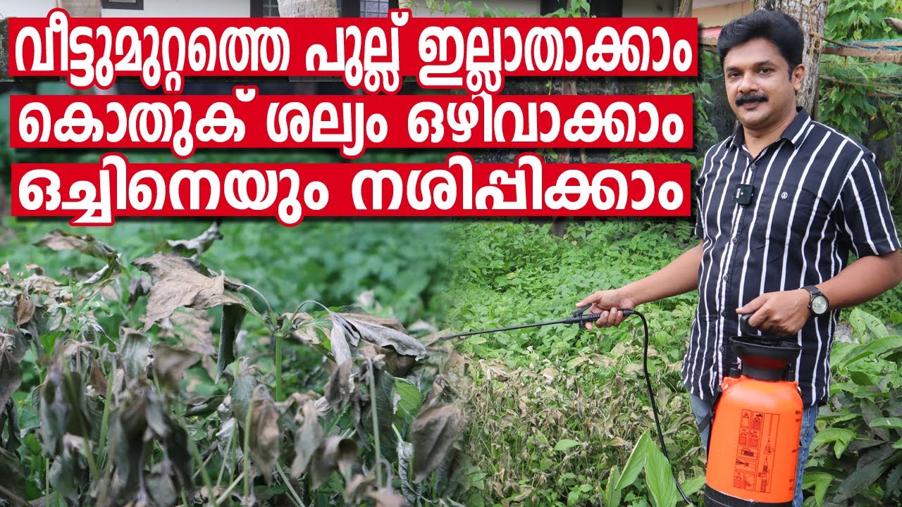 Kill Grass & Weeds naturally |  മുറ്റത്തേയും പുല്ല് നശിപ്പിക്കാനും കൊതുക്, ഒച്ച് ഇവയെ  ഒഴിവാക്കാം