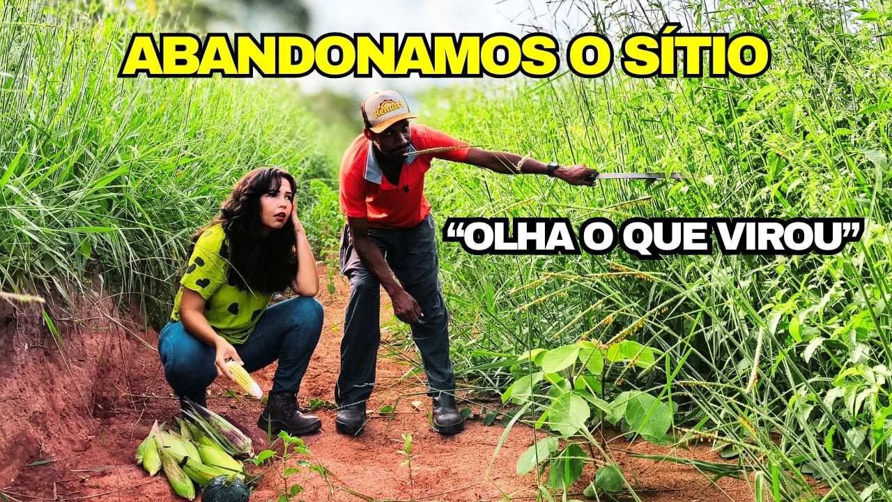 S&iacute;tio ISOLADO: o que Aconteceu com o NOSSO S&Iacute;TIO enquanto Estivemos FORA? #sitiodozero