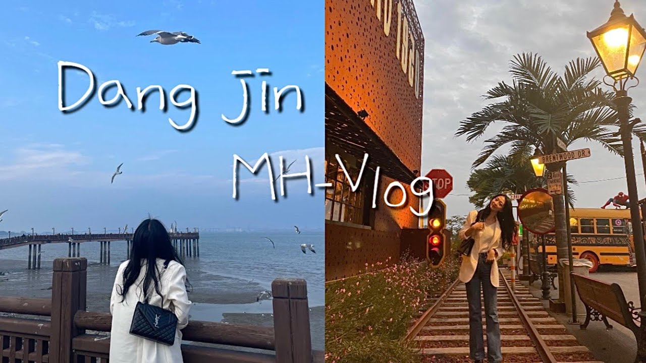 #Vlog / 서울근교 당진(Dangjin) 여행, 당일치기 나들이, 즉흥이지만 핫플은 다 찍고왔다잉 🤳✨