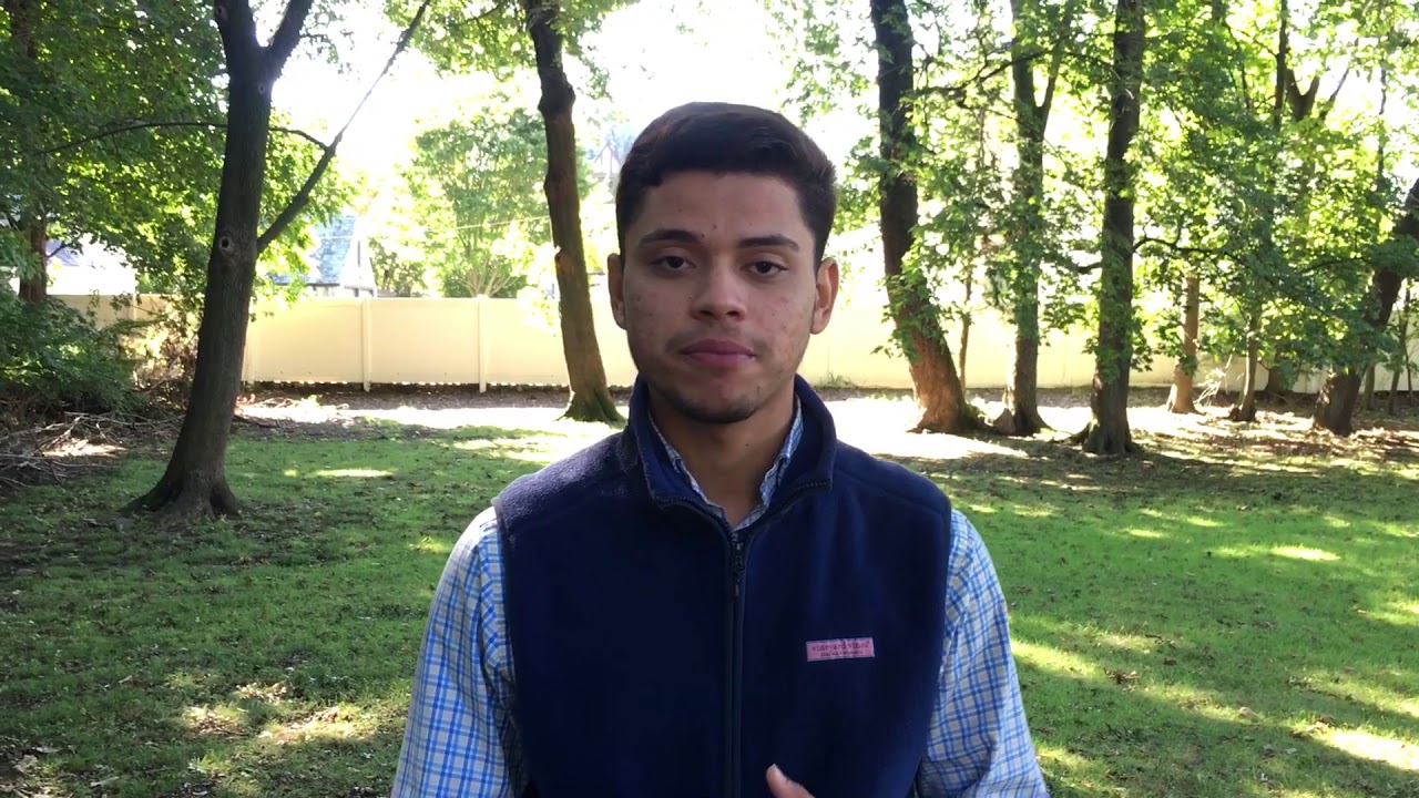 20 Reasons to Vote #2: Local Elections Matter