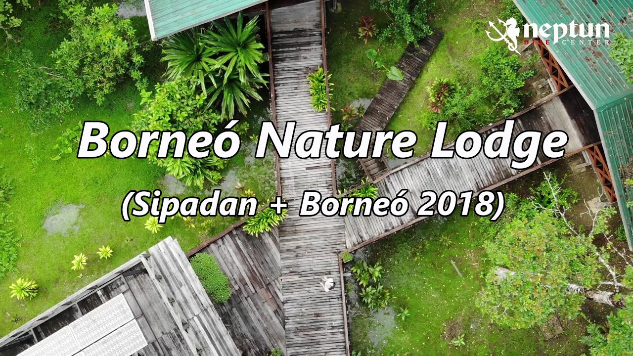 Borneo Nature Lodge (Sipadan+Borne&oacute; - Neptun 2018)